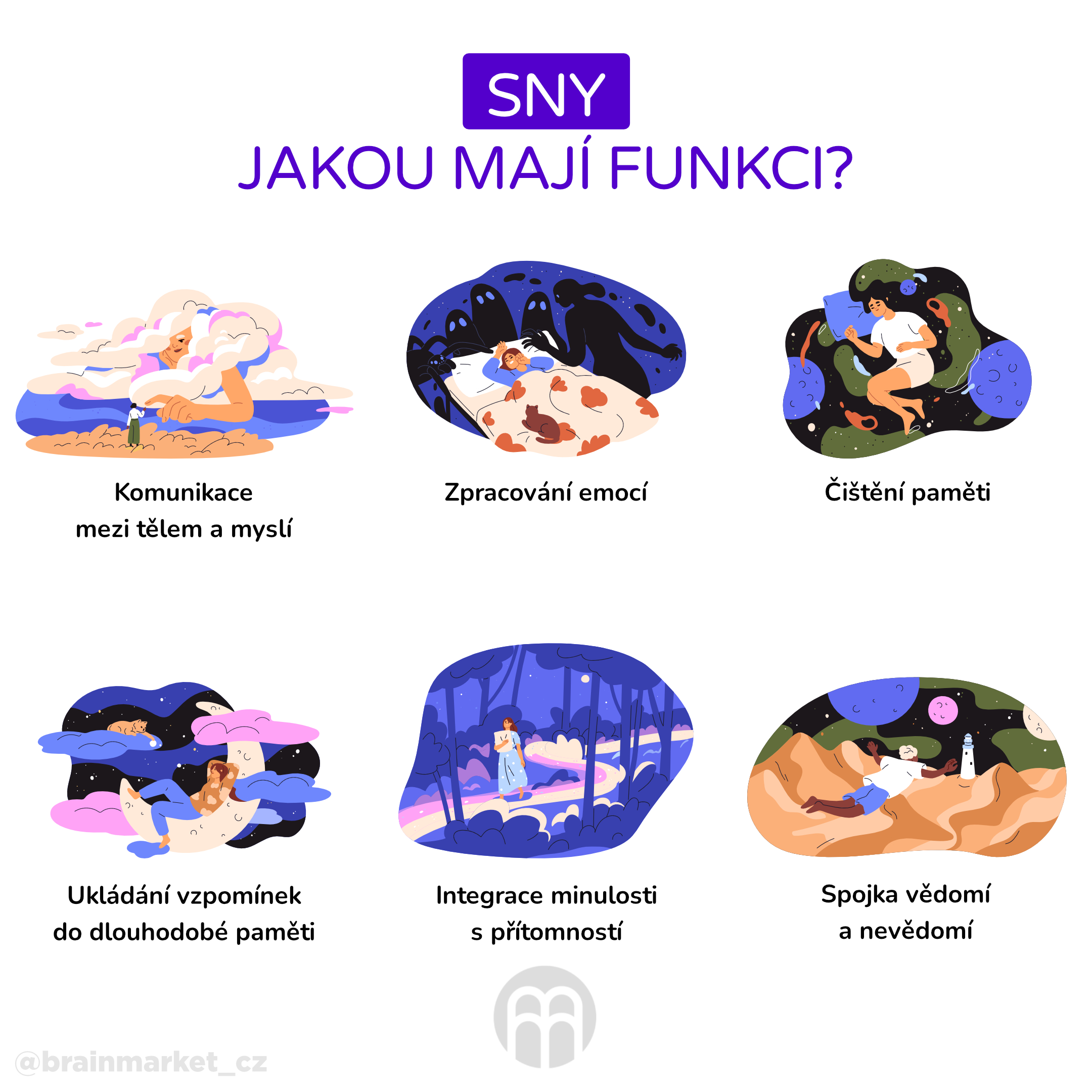 sny, jakou mají funkci_infografika_cz